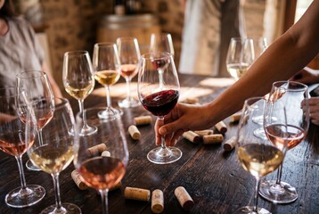 Fototapeta premium Hand Placing Wine Glass on Table at Wine Tasting Event