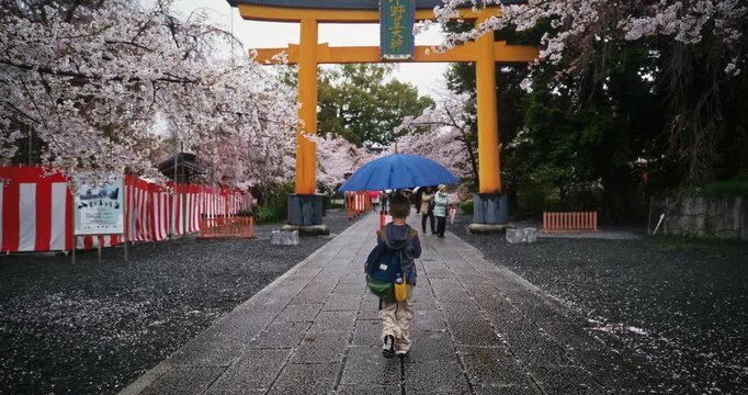 Little boy with backpack and umbrella walking past spring cherry blossoms toward large torii gate in Japanese village