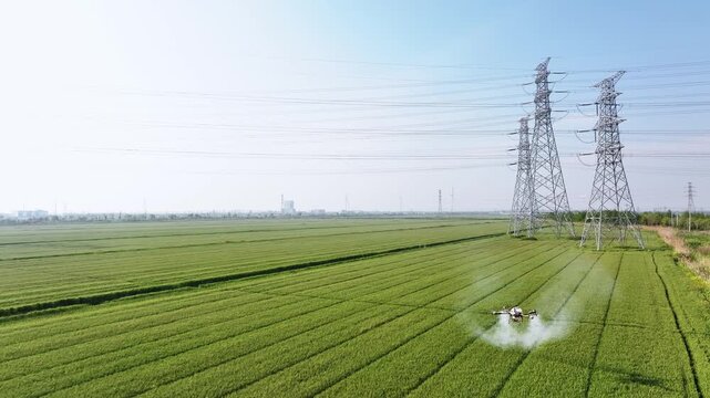 A drone spraying pesticides over a lush green agricultural field with modern technology in action