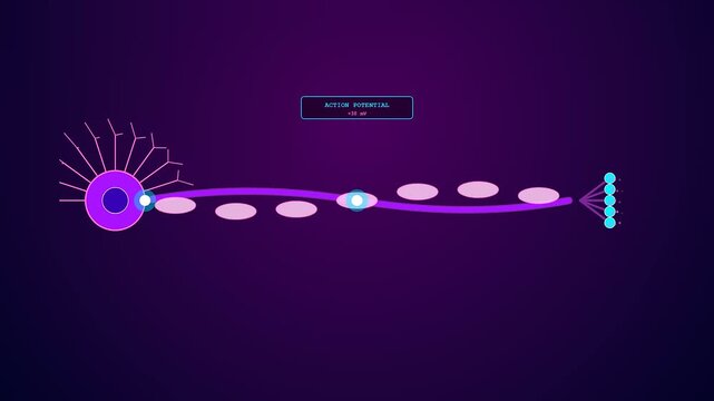 a bci neural connection flows across a digital neuron structure showing signal transmission through an axon in this three stage sequence of electric impulse travel
