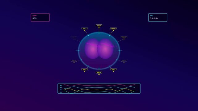 a bci neural connection display shows purple organic spheres with floating digital indicators and oscillating wave charts across three synchronized frames during a scientific research sequence