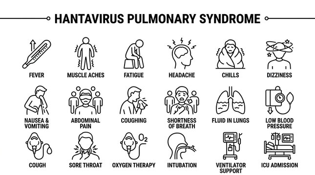 Hantavirus pulmonary syndrome symptoms and health risks