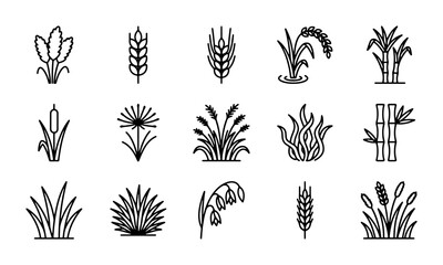 Vector Icons: Wheat, Grass, Reed, Bamboo, Lily of the Valley, Cereal Grains, Botanical Elements © Shanta