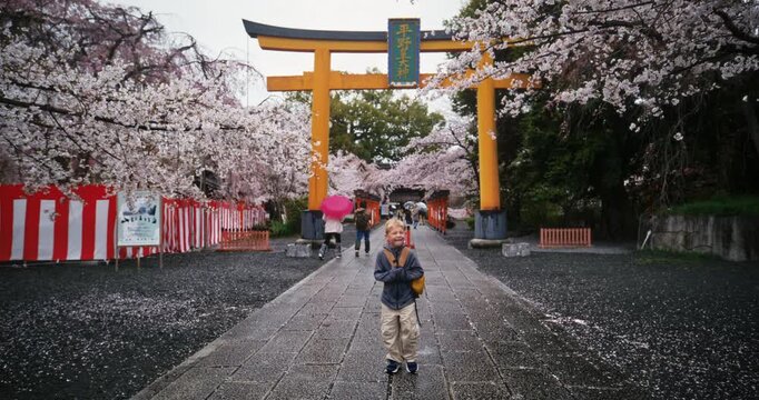 Silly boy with backpack walking down stone path surrounded by spring cherry blossom trees and near majestic torii gate - steady cam movement