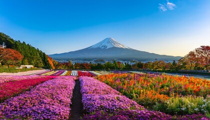 one of the most visit destination in japan beautiful view of mount fuji or fujiyama with colorful blooming flower garden