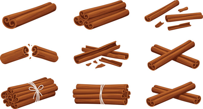 Cinnamon sticks vector set with aromatic spice rolls broken pieces bundles and piles for cooking baking food design and kitchen flavor illustration