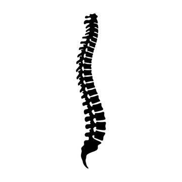 Spine Silhouette