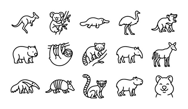 Australian Wildlife Icons, Cute Animal Line Art Set, Kangaroo, Koala, Wombat Vector Graphics