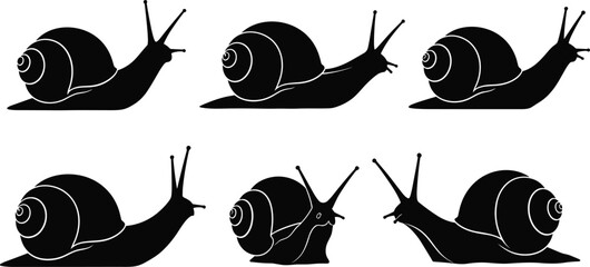 Snail silhouette illustration, black snail icon, coiled shell vector, stylized snail drawing, minimal snail graphic, animal symbol, slow movement design © Hadiul