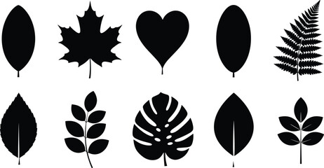 Leaf silhouettes, botanical icons, maple leaf, monstera leaf, fern leaf, compound leaf, serrated leaf, heart leaf, teardrop leaf, foliage design © Hadiul