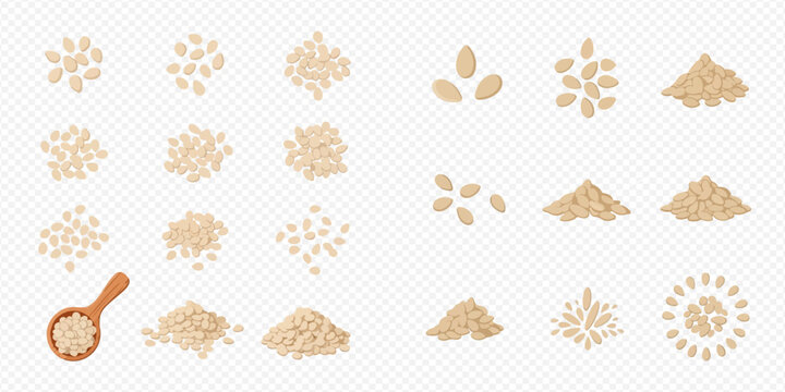 Set of various sesame seeds, piles, and wooden spoon on transparent background.