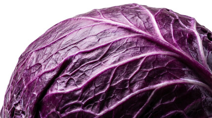 Obraz premium Macro Close Up Of Fresh Organic Red Cabbage Leaves Texture