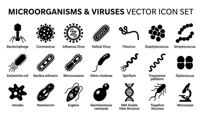 Comprehensive microorganisms and viruses labeled vector icon set.