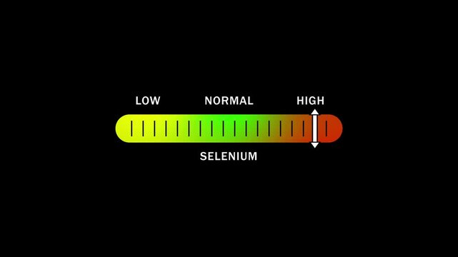 Selenium level indicator scale. Low normal & high meter infographic animation on black background.