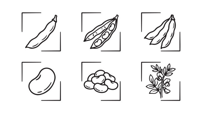 Assortment of soy bean plant parts and pods hand drawn vector illustrations with agriculture vegetable nutrition botanical illustration monochrome isolated culinary ingredient vegetarian