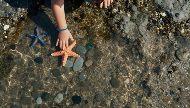 A young child interacts with a starfish in the water, highlighting the wonder of marine life at an urban zoo