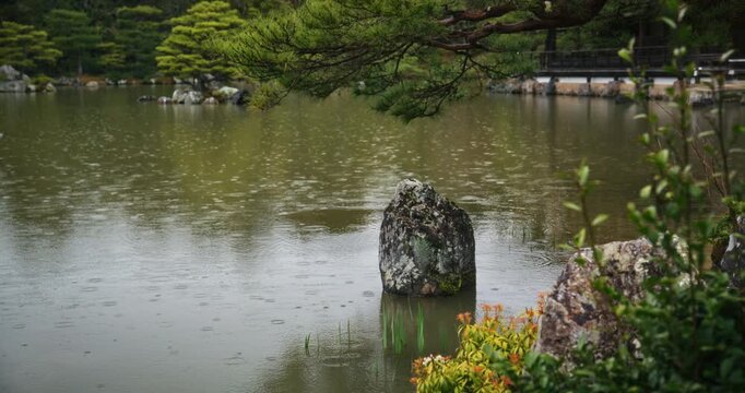Rain falling into Japanese pond - locked off shot
