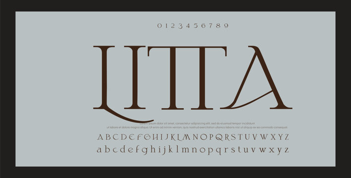 lassic serif font alphabet letters fancy gentle typographic design. Elegant anthique typography. Retro slick serif letter set for wedding card, restaurant menu, headline, lettering. Vector typeset
