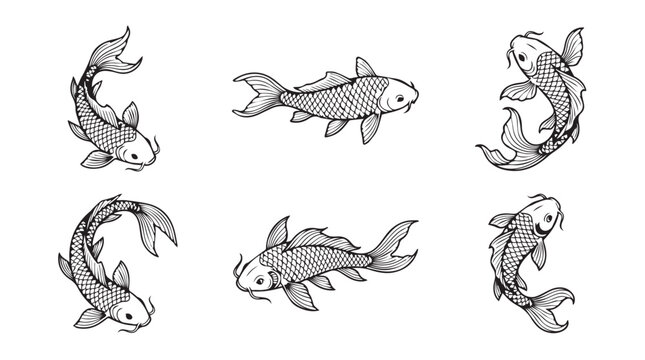 Decorative koi carp fish hand drawn illustration set with illustration japanese tradition swimming isolated collection monochrome engraving wildlife ornamental decorative movement graceful