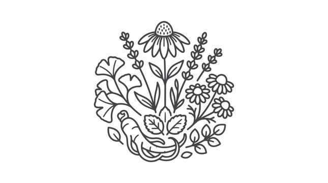 Circular arrangement of medicinal herbs including echinacea and ginseng.