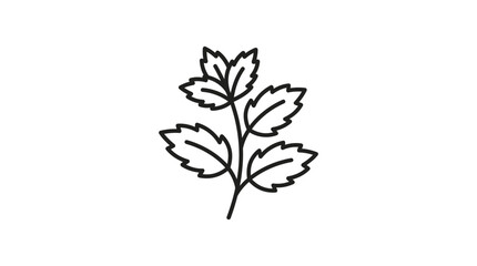 Fresh mint leaves herbal sprig line icon © Ucul