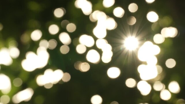 Shimmering golden hour starburst and sun flare through green leaves with negative space, sunlight background