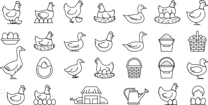 Large collection of farm line icons featuring chickens ducks eggs nests baskets and watering cans for organic poultry agriculture and rural lifestyle web design projects vector.