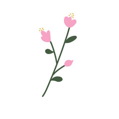 Obraz premium pink rose flower