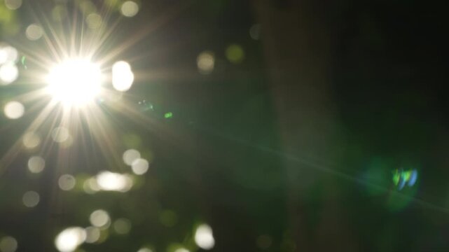 Cinematic afternoon sun flare and organic light leak background with copy space for text