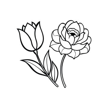 vector illustration of a flower