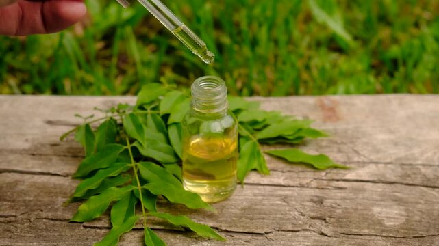 Moringa essential oil and supplements. Selective focus.