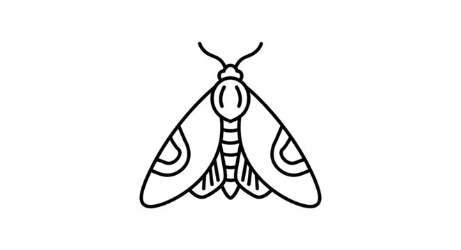 Simple Moth Illustration with Detailed Wings.