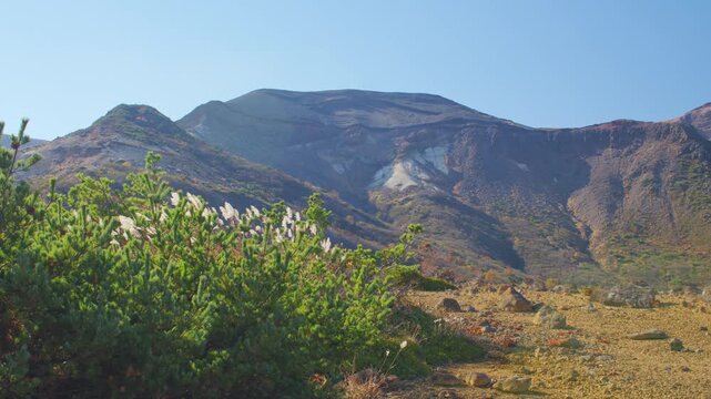 みやぎ蔵王三十六景 駒草平 Miyagi Zao Thirty-Six Views: Komakusa-daira