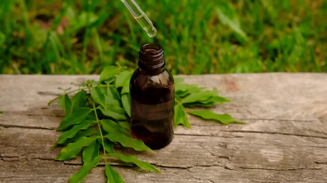 Moringa essential oil and supplements. Selective focus.