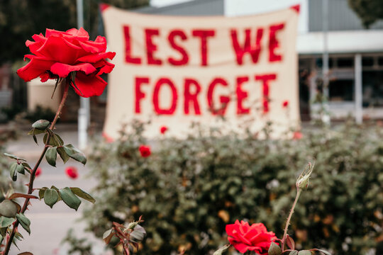 Anzac Day memorial banner with red roses.