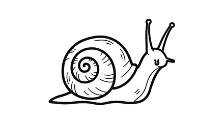 Hand Drawn Snail Outline Vector Illustration © mboku