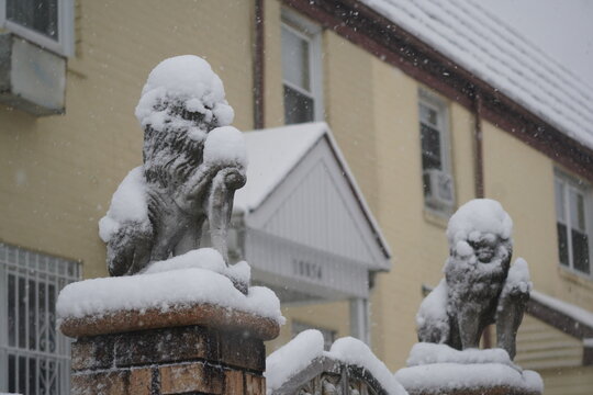 Snow Covered Urban Winter Scene