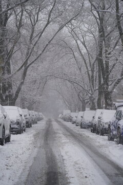 Snow Covered Urban Winter Scene