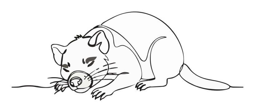 Sleeping tasmanian devil continuous line art illustr.... Generative AI