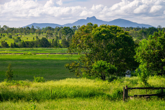 Queensland countryside with vibrant greenery and Mount Wollumbin in the background