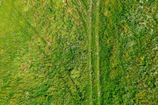 Overhead view of a vibrant green tractor tracks in grass