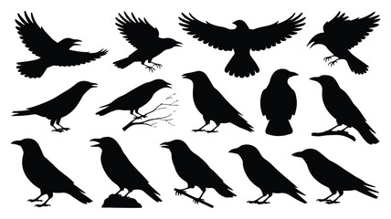 Fototapeta premium A comprehensive collection of various black bird silhouettes flying and standing in different poses