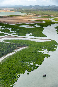 Mangrove wetlands with boat and distant industrial shoreline