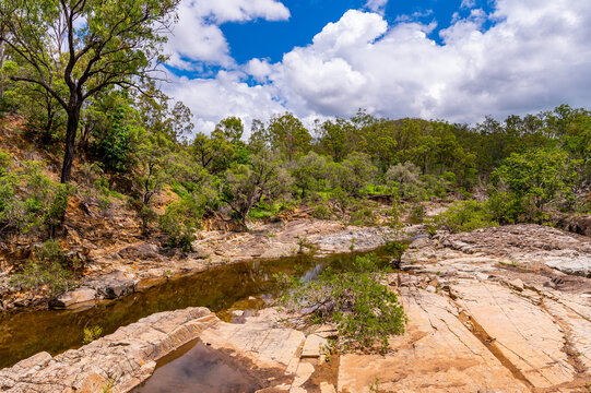 Rocky creek bed flowing through dense green bushland