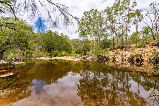 Rocky creek bed flowing through dense green bushland