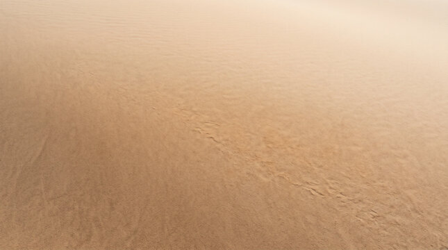 Minimal abstract texture of fine sand surface with soft wind ripples
