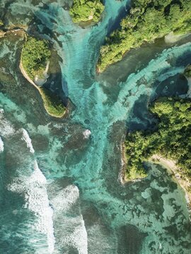 Wooded coastal area, drone shot, Escudo de Veraguas, Panama