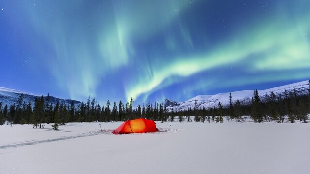 Northern Lights (Aurora borealis) above a red illuminated tent in winter, Kungsleden, Province of Lapland, Sweden