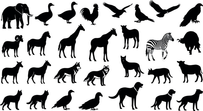 Wild Animal Silhouette Collection with Elephant Zebra Horses Wolves Dogs Birds Sheep and Farm Wildlife Vector Set