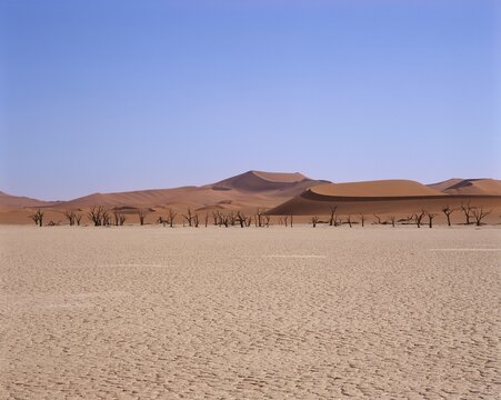 Dead Pan - Sossusvlei - Namib W&uuml;ste Namibia